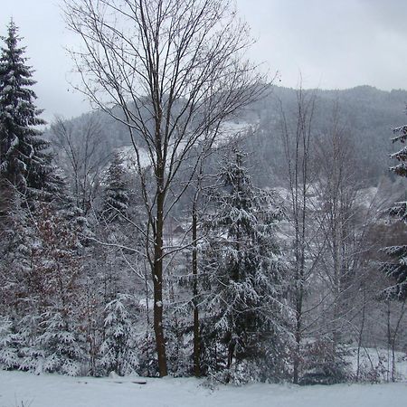Soaptele Padurii & Casuta Din Padure Sucevita Kamer foto