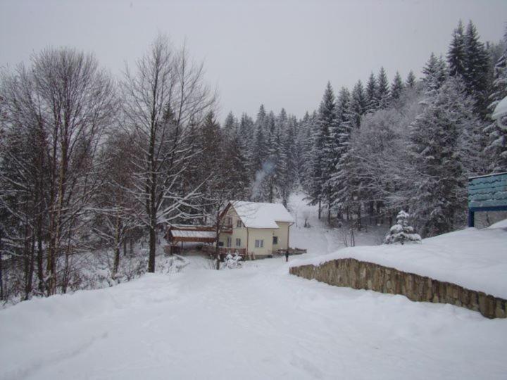 Soaptele Padurii & Casuta Din Padure Sucevita Buitenkant foto