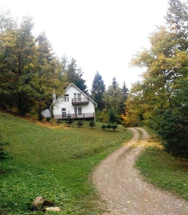 Soaptele Padurii & Casuta Din Padure Sucevita Buitenkant foto