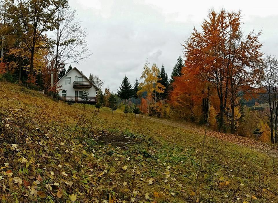 Soaptele Padurii & Casuta Din Padure Sucevita Buitenkant foto