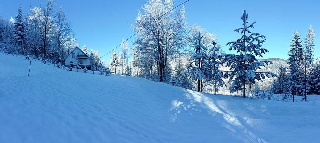 Soaptele Padurii & Casuta Din Padure Sucevita Buitenkant foto