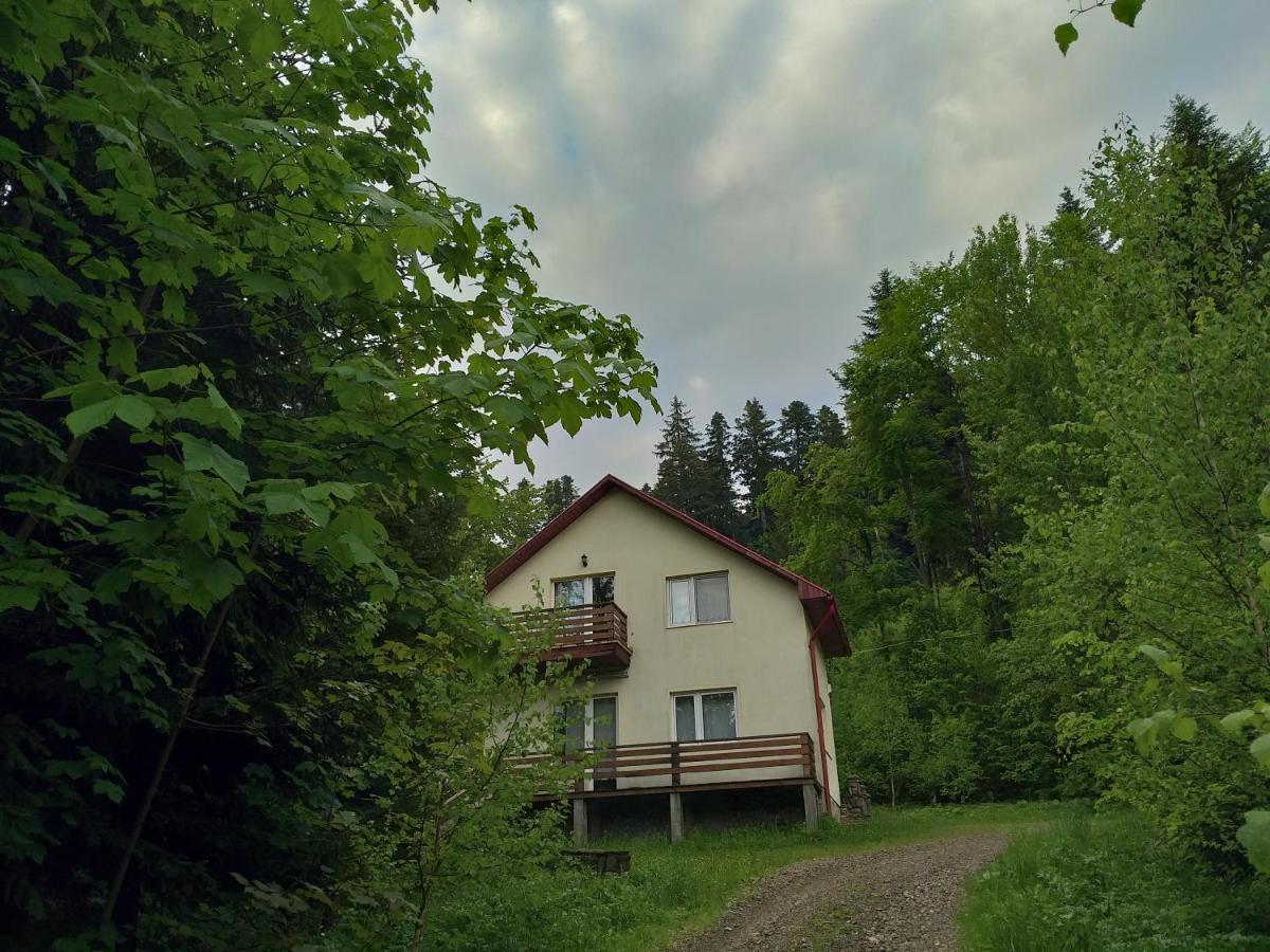 Soaptele Padurii & Casuta Din Padure Sucevita Buitenkant foto