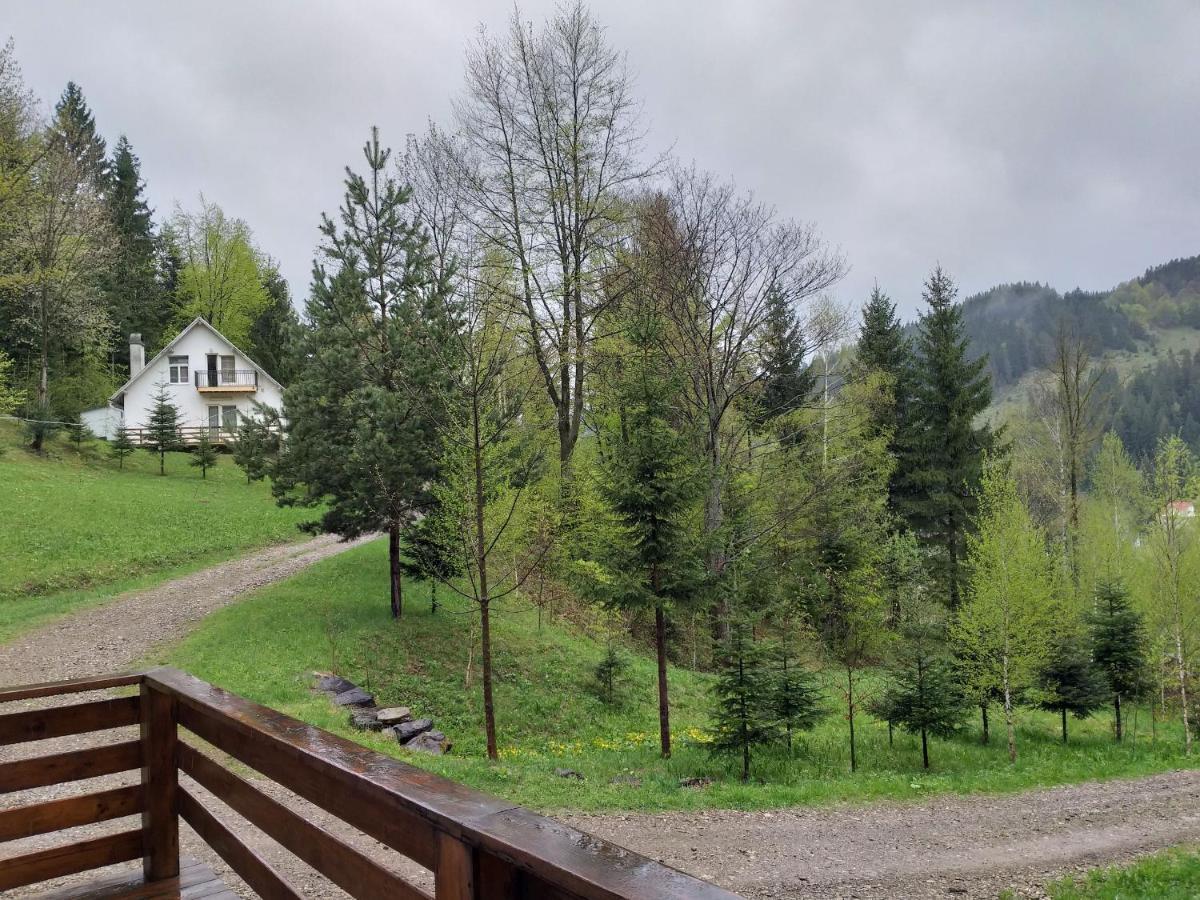Soaptele Padurii & Casuta Din Padure Sucevita Buitenkant foto